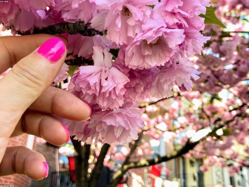 Gel Manicure